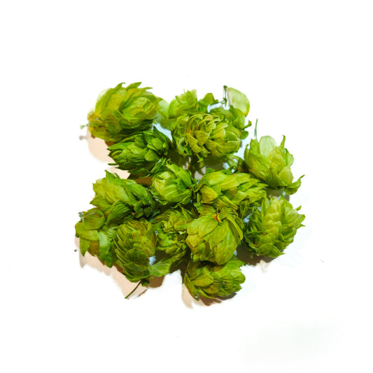 Houblon
