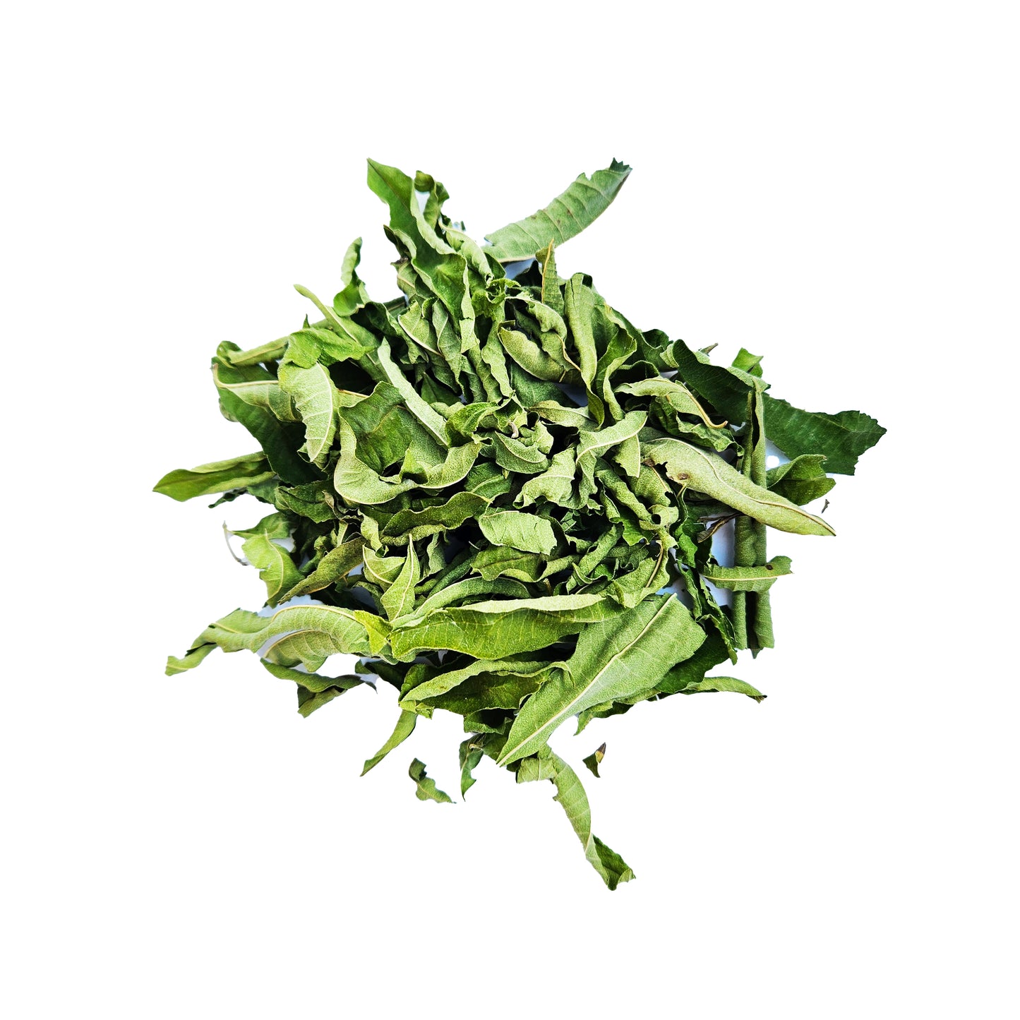 Verveine citronnée