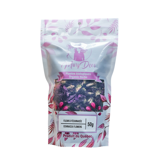 Fleurs d’échinacée