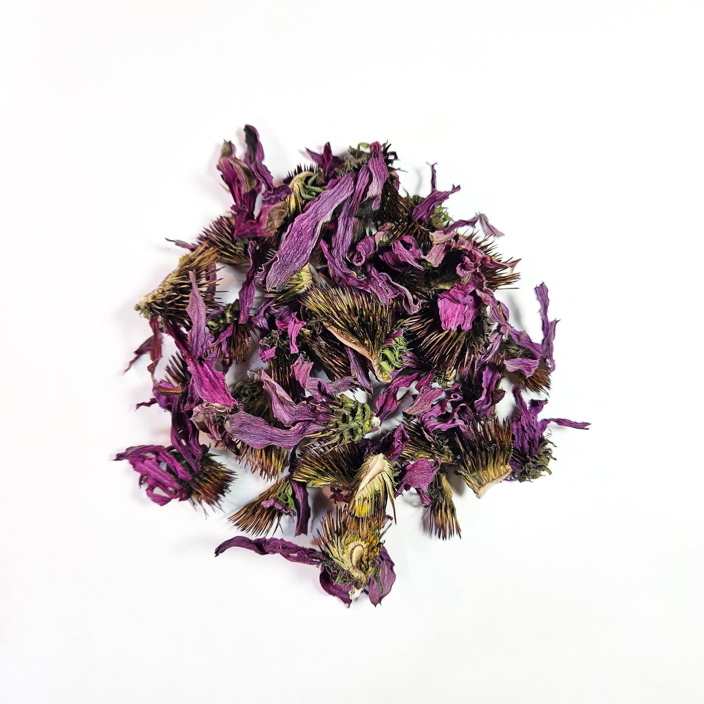 Fleurs d’échinacée