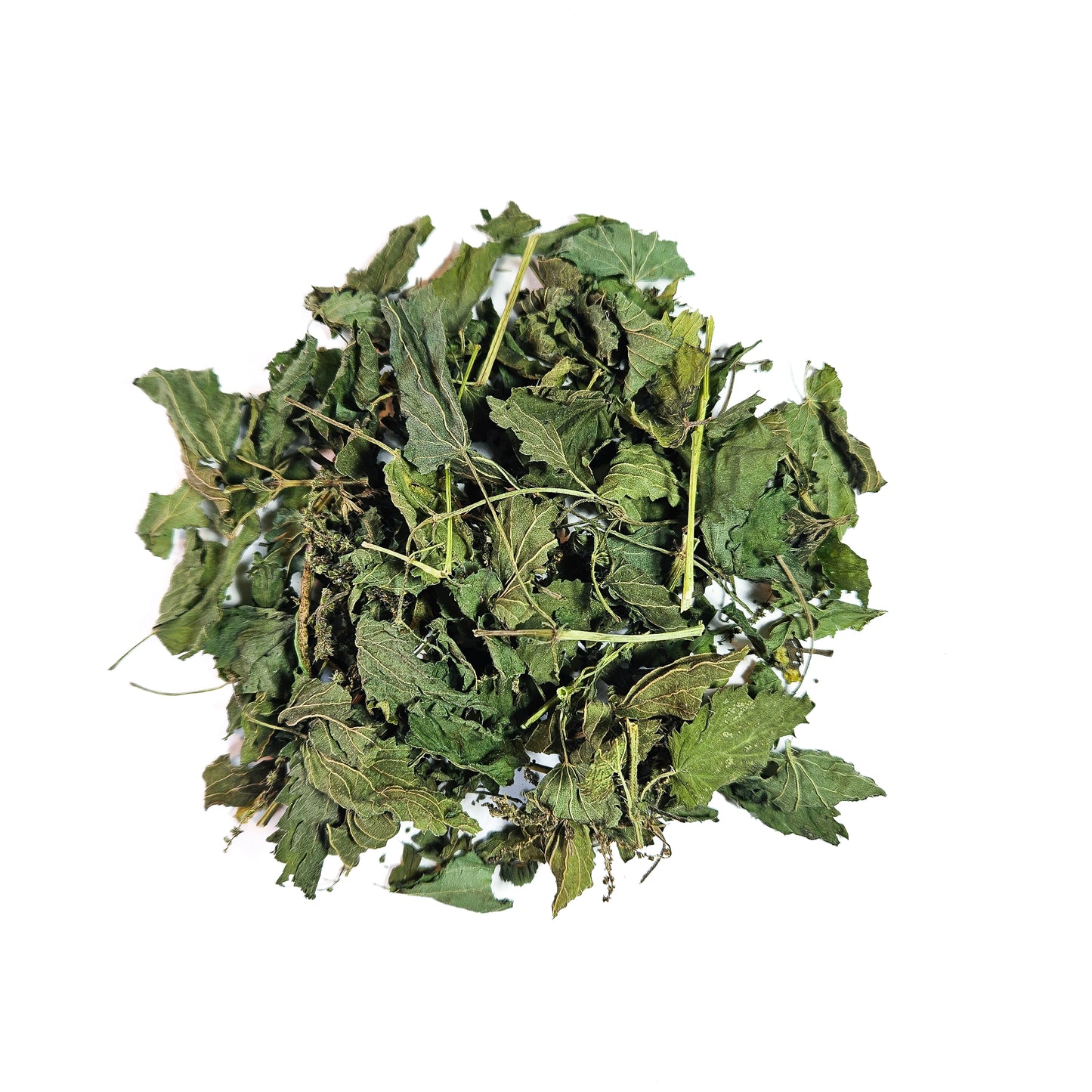 Stinging Nettle